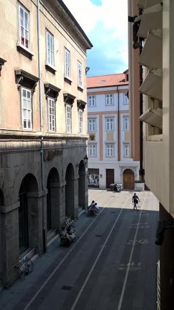Paluplace *